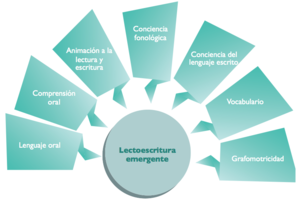 Organizador gráfico de lectoescritura emergente.png