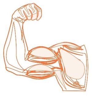 Aprendo y Enseño Ciencias Naturales 4 pag(6.1).jpg