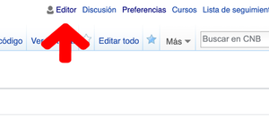 Editor como usuario registrado