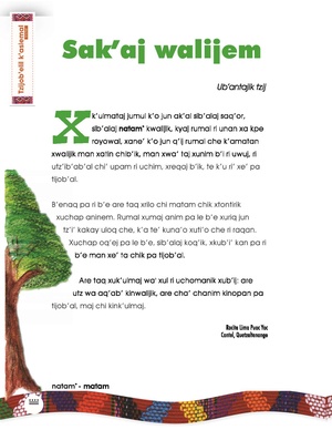 Sak’aj walijem-original.pdf