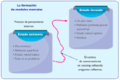 La formación de modelos mentales por medio del coaching cognoscitivo.png