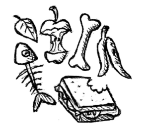 Desechos orgánicos - ilustración.png