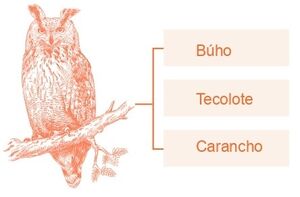 Aprendo y Enseño Ciencias Naturales 5 pag(13.3).jpg