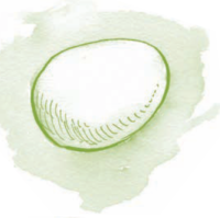 Serie Kemon Ch'abäl Segundo Grado p(361.2).png