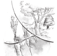 Serie Kemon Ch'abäl Primer Grado p(152.3).png
