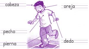 Serie Kemon Ch'abäl Primer Grado p(135.5).png