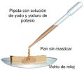 Detección de almidón-A.jpg