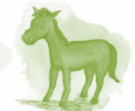 Serie Kemon Ch'abäl Segundo Grado p(155.2).png