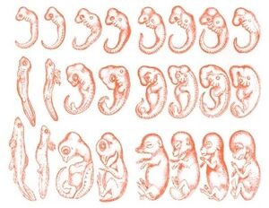 Aprendo y Enseño Ciencias Naturales 5 pag(9.4).jpg