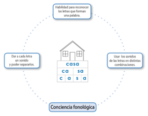 1 Preprimaria-16 fig1.png