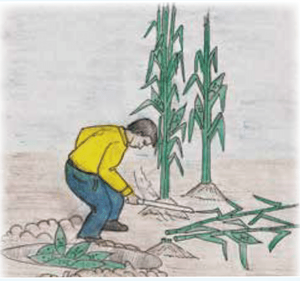Enseñanza de la comprensión lectora (pag.70).png