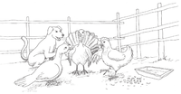 Nuestro idioma en la escuela - Q'anjob'al p(20).png