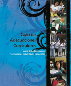 Adecuaciones curriculares NEE - carátula.png