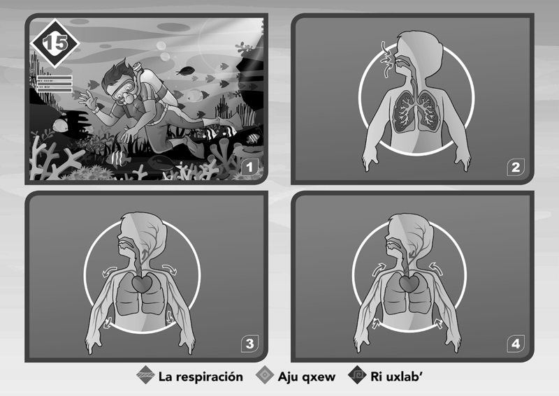 Archivo:Lección 15.png