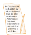 Serie Kemon Ch'abäl Segundo Grado p(95.2).png