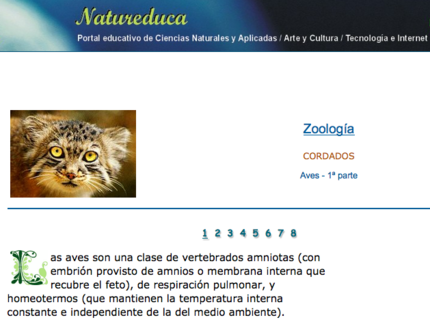 Aves - carátula.png