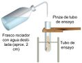 Detección de glucosa-A.jpg