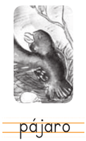 Serie Kemon Ch'abäl Primer Grado p(98.8).png
