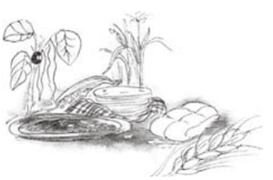 Serie Kemon Ch'abäl Primer Grado p(152.4).png
