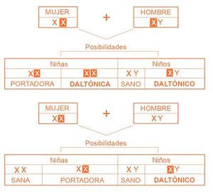 Aprendo y Enseño Ciencias Naturales 4 pag(25).jpg