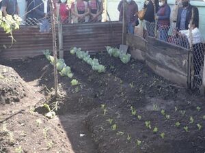 Cercar el terreno