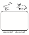 Ejercicio con pato y conejo.png