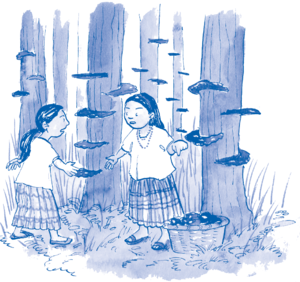 Serie Kemon Ch'abäl Tercer Grado p(47).png