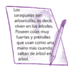 Serie Kemon Ch'abäl Tercer Grado p(328.2).png