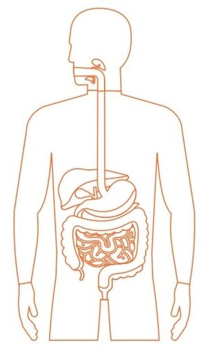 Aprendo y Enseño Ciencias Naturales 4 pag(6.2).jpg
