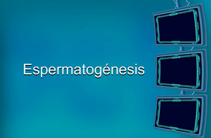 Espermatogénisis - carátula.png