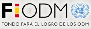 Fiodm - logo color.png