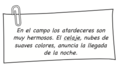 Clip en el campo.png