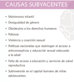 Fuente: Informe Estado de la Población Mundial. UNFPA, 2013./
