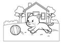 Gato y pelota