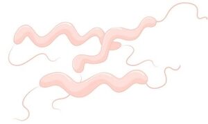 Aprendo y Enseño Ciencias Naturales 5 pag(21.3).jpg