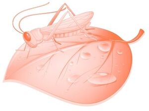Aprendo y Enseño Ciencias Naturales 5 pag(7).jpg