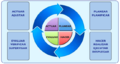 Ciclo de mejoramiento continuo.png