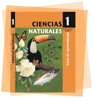 Orientaciones Primero Básico pag(39).jpg
