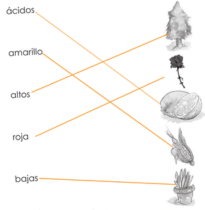 Serie Kemon Ch'abäl Primer Grado p(150).png