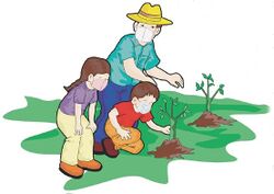 Orientaciones 3ro Primaria pag(37).jpg
