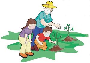Orientaciones 3ro Primaria pag(37).jpg