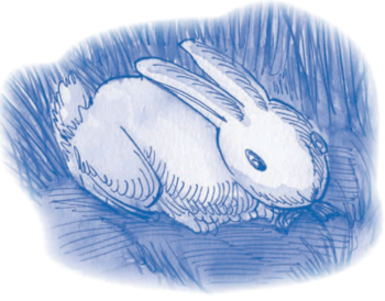 Serie Kemon Ch'abäl Segundo Grado p(220.1).png