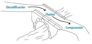 3 Segundo ciclo-15 fig1.png