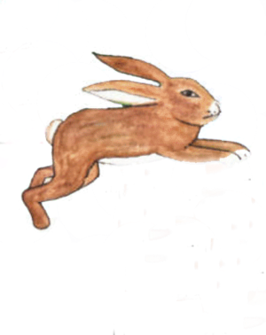 Alaj imul-pequeña.png