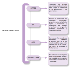 Componentes del currículo.png