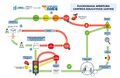 Miniatura de la versión del 17:27 13 ene 2021