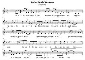 Un lorito de verapaz.png