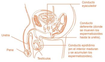 Aprendo y Enseño Ciencias Naturales 4 pag(20.3).jpg