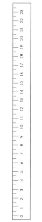 Orientaciones 4to Primaria pag(57.2).jpg