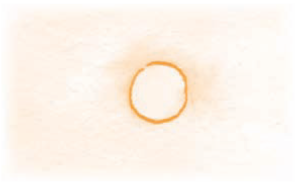 Serie Kemon Ch'abäl Segundo Grado p(304.2).png